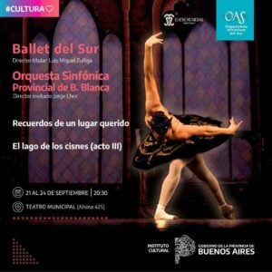 El Teatro Municipal presenta una temporada de danza y música clásica con el Ballet de Sur y la Orquesta Sinfónica Provincial. Se presentarán el Acto III de 'El Lago de los Cisnes' de Tchaikovsky y 'Recuerdos de un Lugar Querido' de Luis Miguel Zuñiga. Funciones del 21 al 24 de marzo a las 20:30 hs.