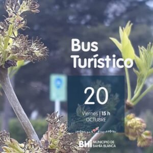 Nueva salida del Bus Turístico este viernes a las 15 horas