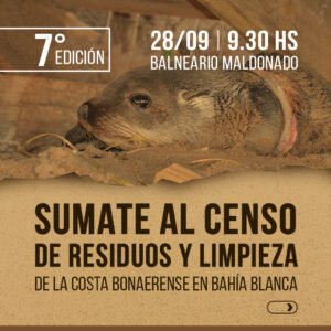 Convocatoria de voluntarios para censo de residuos en la costa el sábado 28 desde Balneario Maldonado.