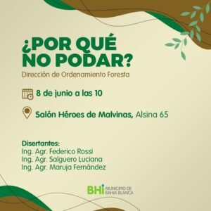 La Dirección de Ordenamiento Forestal organiza una charla abierta sobre poda de árboles con expertos en agronomía. Se abordarán marco legal