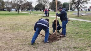 El municipio realiza la plantación de 16 especies arbóreas y arbustivas (Bracchychiton