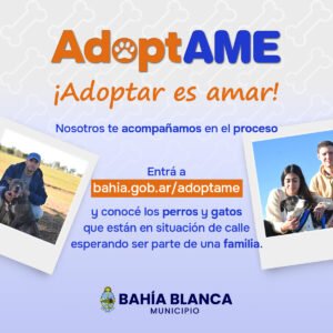 Programa AdoptAME para adoptar perros comunitarios y animales en situación de calle con apoyo municipal.