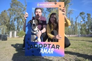 Programa municipal AdoptAME facilita adopción de perros y gatos en situación de calle con acompañamiento del Municipio.