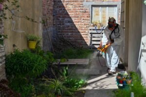 La Municipalidad recomienda medidas de prevención del dengue y orienta sobre síntomas de alerta.