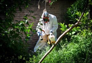 Se confirma un caso de dengue importado; la Secretaría de Salud solicita eliminar criaderos y consultar ante síntomas.