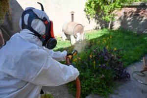 Campaña de prevención de dengue con control de criaderos y fumigación en dos cuadrantes el 8 de febrero.