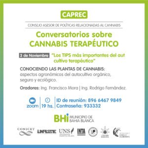 Se realizará un conversatorio por Zoom sobre cannabis terapeútico enfocado en aspectos agronómicos del autocultivo orgánico