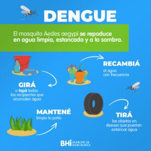 El municipio brinda recomendaciones para prevenir el Dengue en Bahía Blanca
