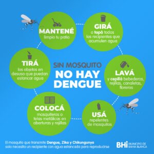 La Secretaría de Salud de Bahía Blanca brinda recomendaciones para prevenir el Dengue: eliminar recipientes en desuso