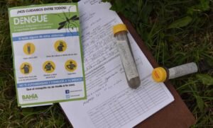 Municipio lanza campaña de prevención de dengue con recomendaciones para eliminar criaderos de mosquitos.