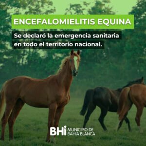 El Senasa declara estado de emergencia sanitaria por encefalomielitis equina en Argentina. Se difunden recomendaciones de bioseguridad