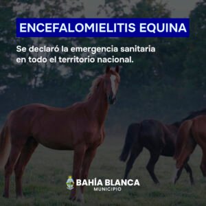 El Senasa activó protocolos de emergencia sanitaria por Encefalomielitis Equina en todo el país. Se recomiendan medidas de bioseguridad