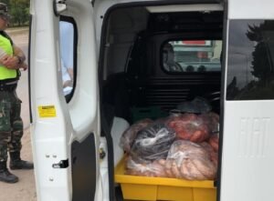 Se decomisaron 200 kg de chorizos por transporte con exceso de temperatura.