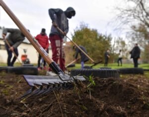 Se lanzó el proyecto 'Huertas Comunitarias y Huertas Familiares' para capacitar a 500 familias en producción hortícola