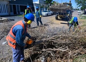 Bahía Blanca continúa limpieza de ramas y remoción de árboles afectados por temporal con participación de 400 personas.
