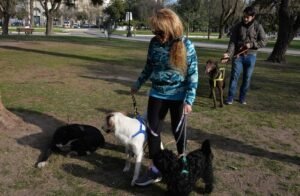 Orienta sobre medidas de cuidado para mascotas ante COVID-19