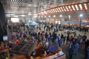 Modifican recorrido colectivo gratuito Mercado Bahiense con nuevos horarios de ida y vuelta.