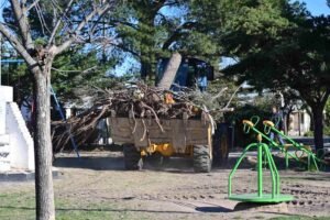 Tercera etapa de limpieza urbana: retiro de 236 tocones en seis barrios y mantenimiento del Parque de Mayo.