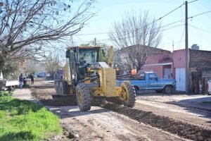Operativos de limpieza en 273 calles: 110 tocones removidos y 2500 metros cúbicos residuos retirados.