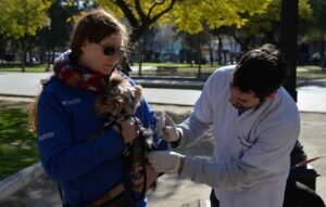 Campaña de vacunación antirrábica en Grünbein y parque Independencia miércoles y jueves.