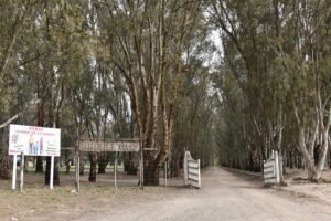 Este fin de semana habrá dos ferias culturales en espacios públicos: Feria del Parque de la Ciudad (sábado y domingo desde las 13 hs