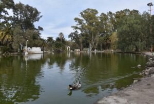 Se presentó el proyecto para la puesta en valor del Lago de los Patos en el Parque de Mayo