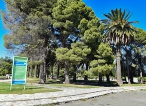 La Dirección de Ordenamiento Forestal Urbano dicta desde el 7 de marzo un curso obligatorio de manejo silvicultural del arbolado urbano con modalidad virtual y práctica presencial. Los participantes se registrarán en el Registro Permanente de Forestadores y Podadores Urbanos.