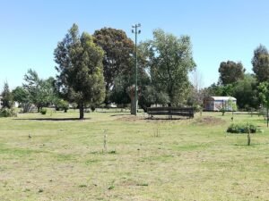 El barrio Noroeste celebra su 134 aniversario este sábado con un festival recreativo en el parque homónimo (12 a 20 hs). Habrá feria de microemprendedores