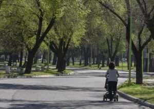 Se realizará el V Congreso Argentino de Arbolado Público del 10 al 12 de marzo en el Teatro Municipal