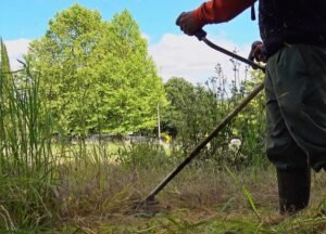 Bahía Blanca recomienda medidas para prevenir la proliferación del mosquito Aedes Aegypti y evitar dengue.