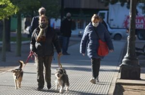 Dirección de Zoonosis alerta sobre cebos tóxicos detectados en calles Peñaloza y Lucero (Villa Belgrano). Recomiendan supervisar caninos con correa y collar