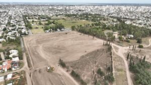 Finaliza limpieza de 1.074 árboles en el Pinar tras temporal. Continúan trabajos en otros espacios verdes.