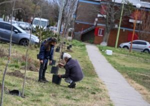 Reforestación comunitaria mañana en plaza Nueva Belgrano bajo el programa Reverdecer Bahía.