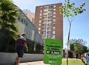 A través del programa Bahía Planta