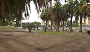 La Subsecretaría de Deportes organiza una celebración del Día de la Primavera para adultos mayores el viernes en Plaza Colombo