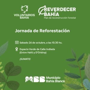 Jornada de plantación forestal voluntaria sábado 26 en calle Indiada.