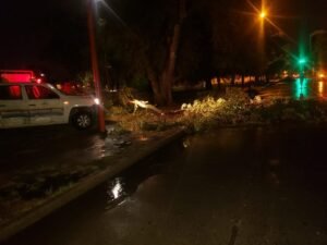 Luego del temporal del 7 de marzo