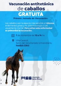 Bahía Blanca realizará mañana su primera jornada gratuita de vacunación antitetánica para caballos.