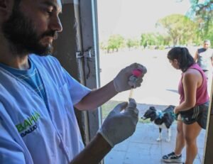 La Municipalidad ofrece cuatro móviles de castración en diferentes barrios con turnos de lunes a viernes.