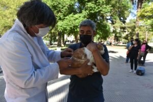 El Departamento de Salud y Bienestar Animal realiza campañas de vacunación antirrábica en parque Independencia y diversos barrios con horarios específicos. También se vacunarán animales operados en los Móviles de Esterilización.